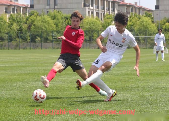 问鼎娱乐官方网站-德甲球队管理模式解析：俱乐部运营与成员构成