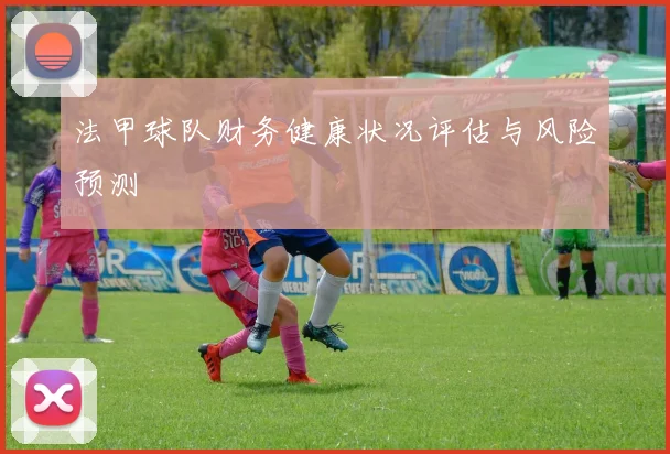 法甲球队财务健康状况评估与风险预测