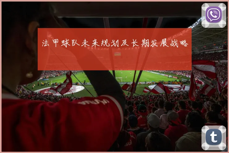 法甲球队未来规划及长期发展战略