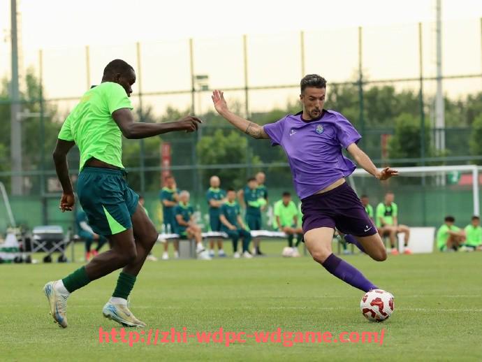 问鼎娱乐官方网站-法甲外援表现数据图谱：谁是本赛季最大惊喜？